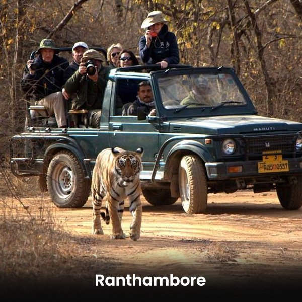 Ranthambore